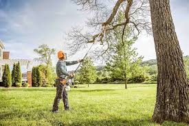 Trusted Bratenahl, OH Tree Services Experts